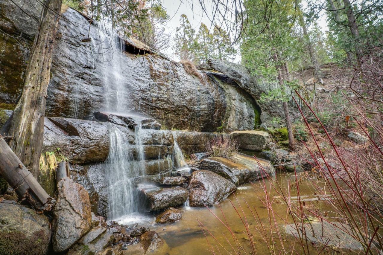 Forest Falls شيفير ليك المظهر الخارجي الصورة